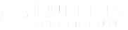 Lumina Screen Films
